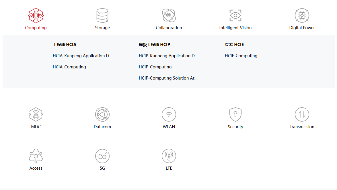 职业认证 ICT基础设施