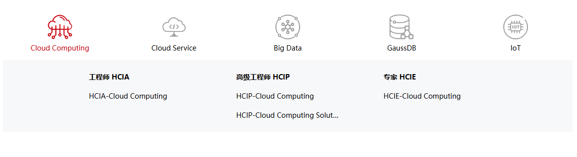 职业认证 云平台及云服务